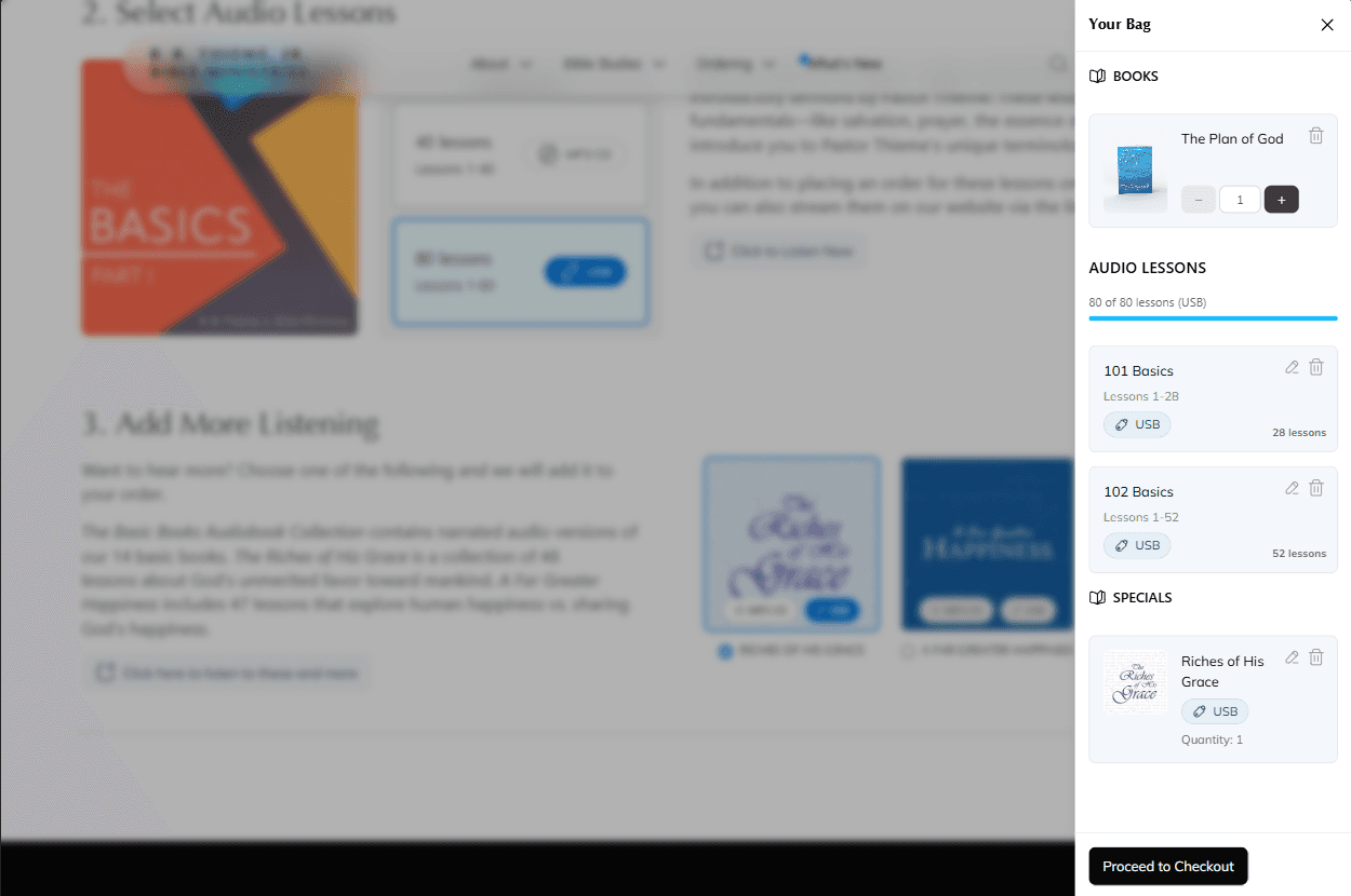 Screenshot: Bag with selected items