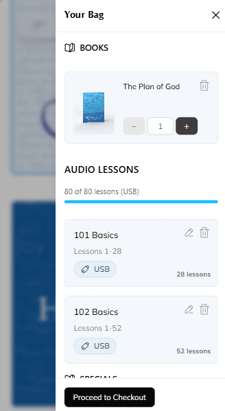 Screenshot: Bag with selected items