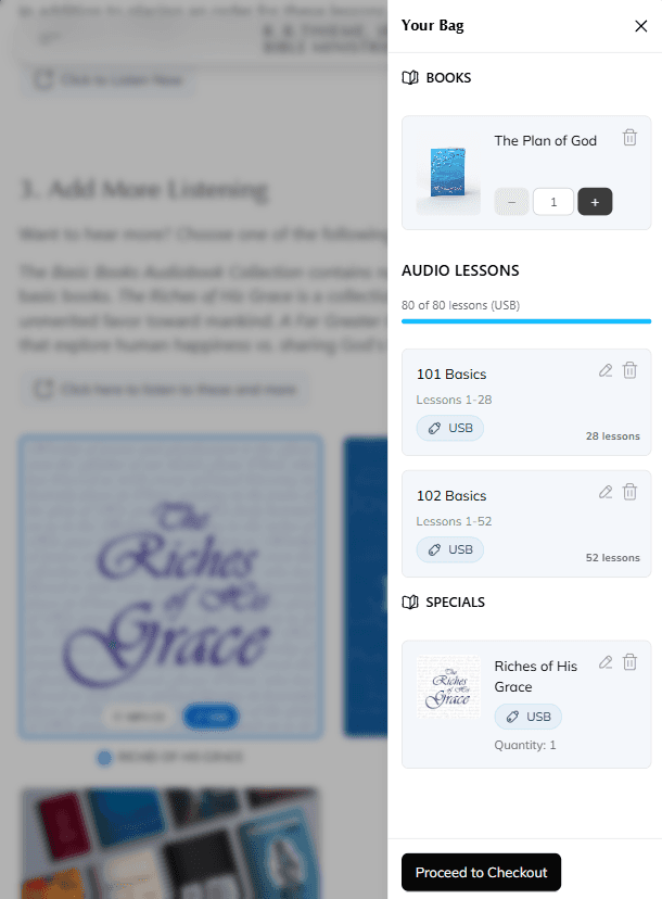 Screenshot: Bag with selected items